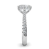 Dalia Claw Set