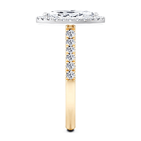 Angeli Halo