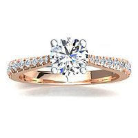 Dalia Claw Set