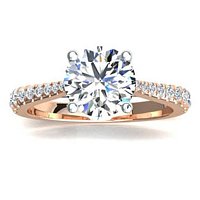 Dalia Claw Set