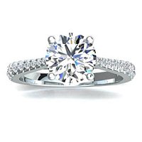 Dalia Claw Set