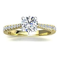 Dalia Claw Set