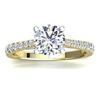 Dalia Claw Set