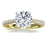 Dalia Claw Set