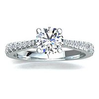 Dalia Claw Set