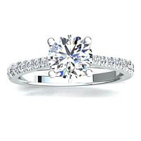 Dalia Claw Set