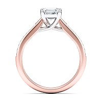 Dalia channel set