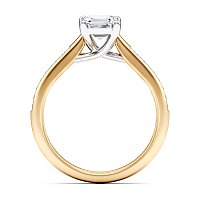 Dalia channel set