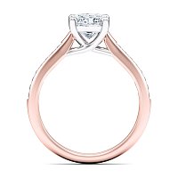 Dalia channel set