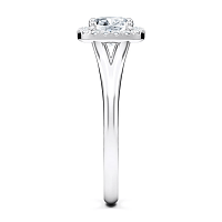 Angeli Split Band True Halo