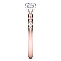 Petite Marquise