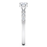 Petite Marquise