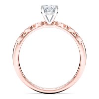 Petite Marquise