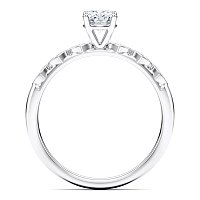 Petite Marquise