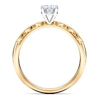 Petite Marquise