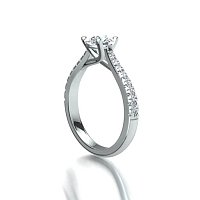 Dalia Claw Set