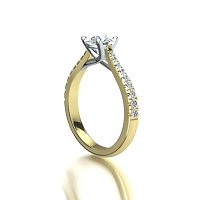 Dalia Claw Set