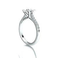 Dalia Claw Set