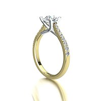 Dalia Claw Set