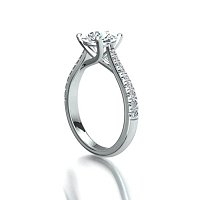 Dalia Claw Set