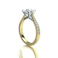 Dalia Claw Set