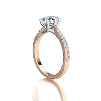 Dalia Claw Set