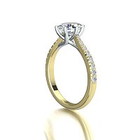 Dalia Claw Set