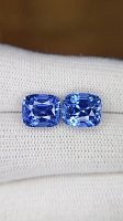 9.95 ct Cushion Blue Natural Sapphire
