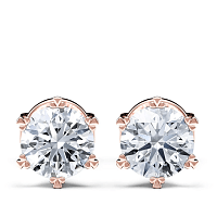 Snowflake Claw Earrings