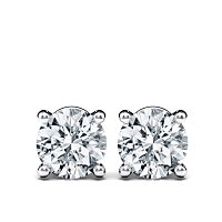 Claw Set Earrings