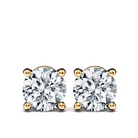 Claw Set Earrings