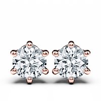 Claw Set Earrings