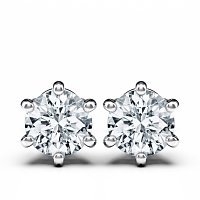 Claw Set Earrings