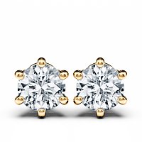 6 Claw Set Earrings