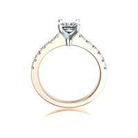 Cara Mid Claw set
