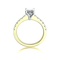Cara Mid Claw set