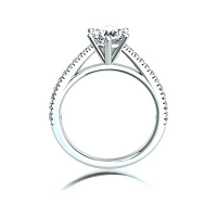 Cathedral 1ct Round IGI LG Side Stones Diamond Engagement Ring