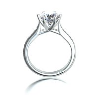 Dalia channel set