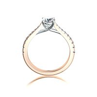 Dalia Claw Set