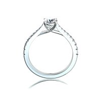 Dalia Claw Set