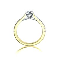 Dalia Claw Set