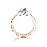 Dalia Claw Set