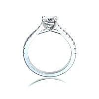 Dalia Claw Set