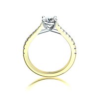 Dalia Claw Set