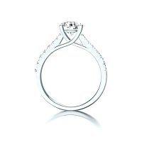 Dalia Claw Set
