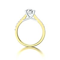 Dalia Claw Set