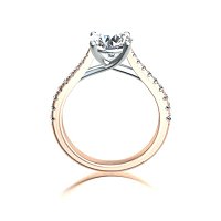 Dalia Claw Set