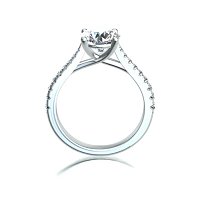 Dalia Claw Set