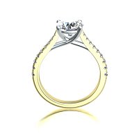 Dalia Claw Set