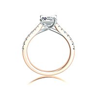Dalia Claw Set